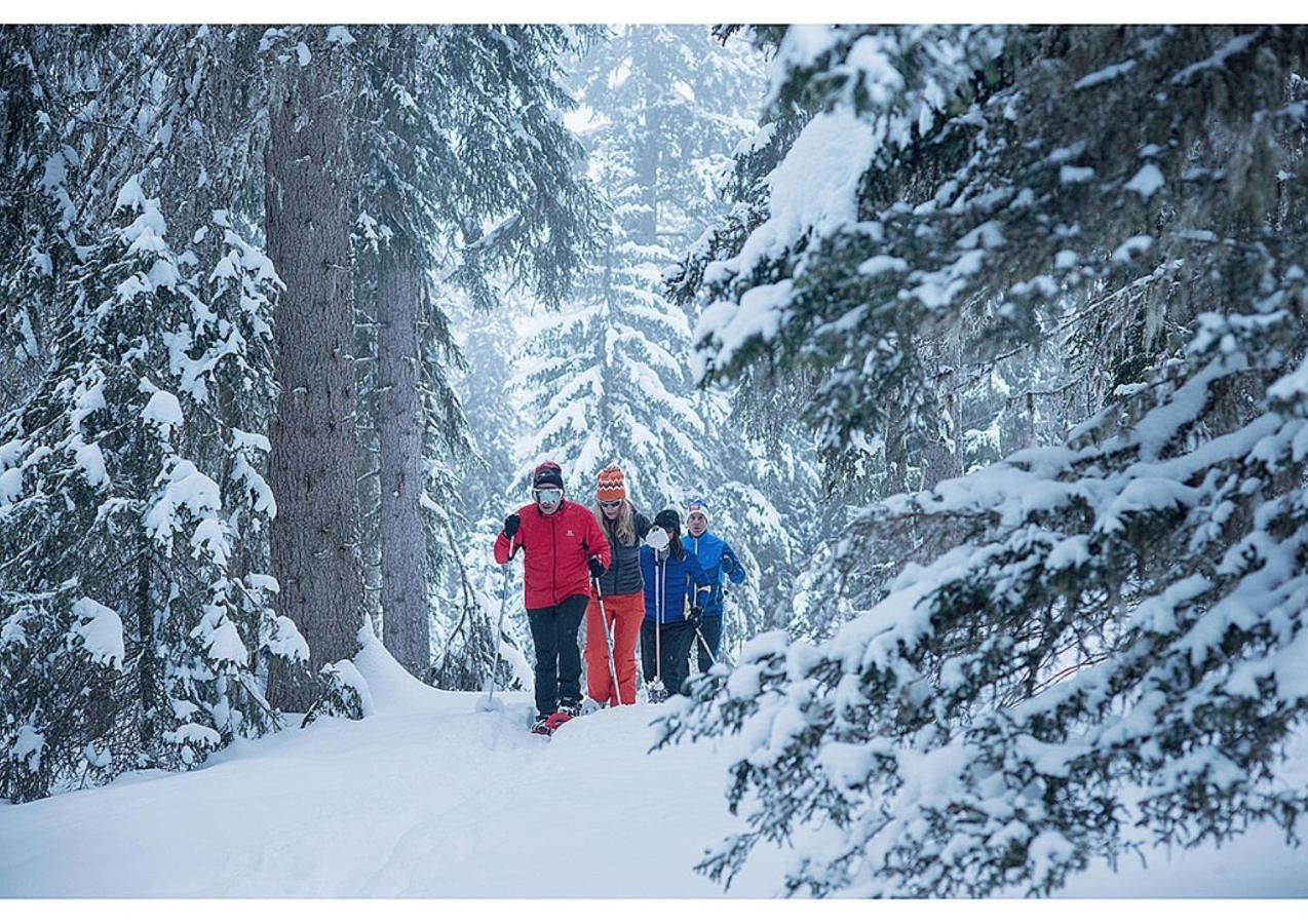 Les Proveres - Meribel-mottaret Les Allues